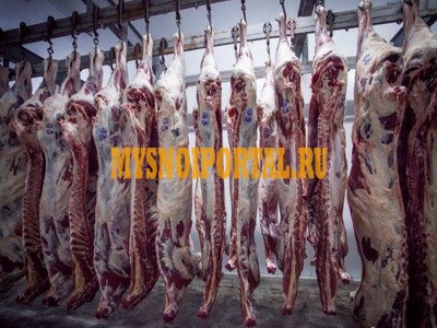 Мясо в полутушах Бык (от 180 кг) Ростов-на-Дону - изображение 1