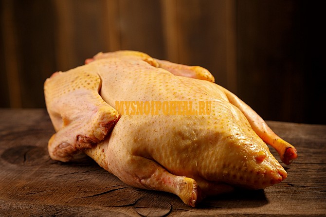 Тушка утки фермерская Воронеж - изображение 1