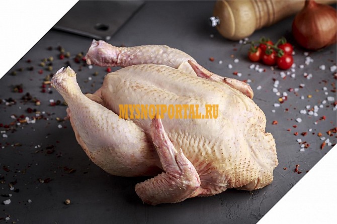 Тушка индейки фермерской Воронеж - изображение 1
