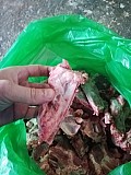 Свиные ребра, хрящи, рагу, хвосты, поджарку доставка из г.Орехово-Зуево