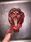Головы свиные ограбленые 23 руб доставка из г.Тверь