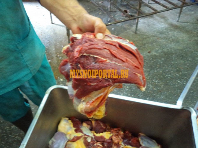 Мясо говядины односортное Новосибирск - изображение 1