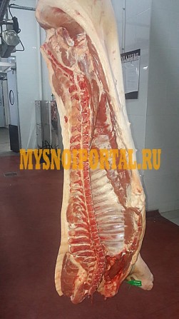 Свинина оптом 128 р./кг Буинск - изображение 1