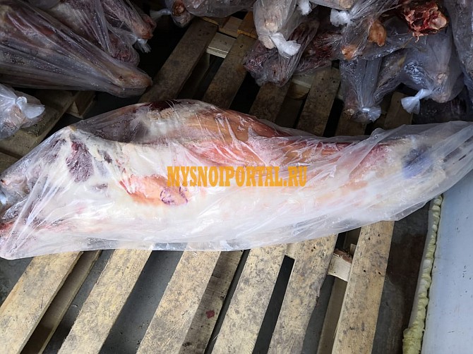 Туши Бараньи (Ягнятины) , н/к, в Москве Москва - изображение 1