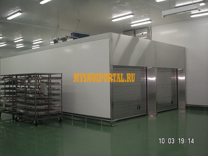 Камера дефростации, разморозки Москва - изображение 1