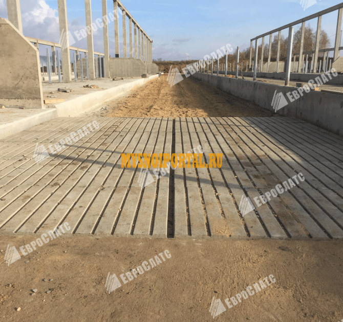 Плита в навозный проход для КРС Грязи - изображение 1