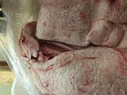 Продам свинину жирную, обрезь Ярославль