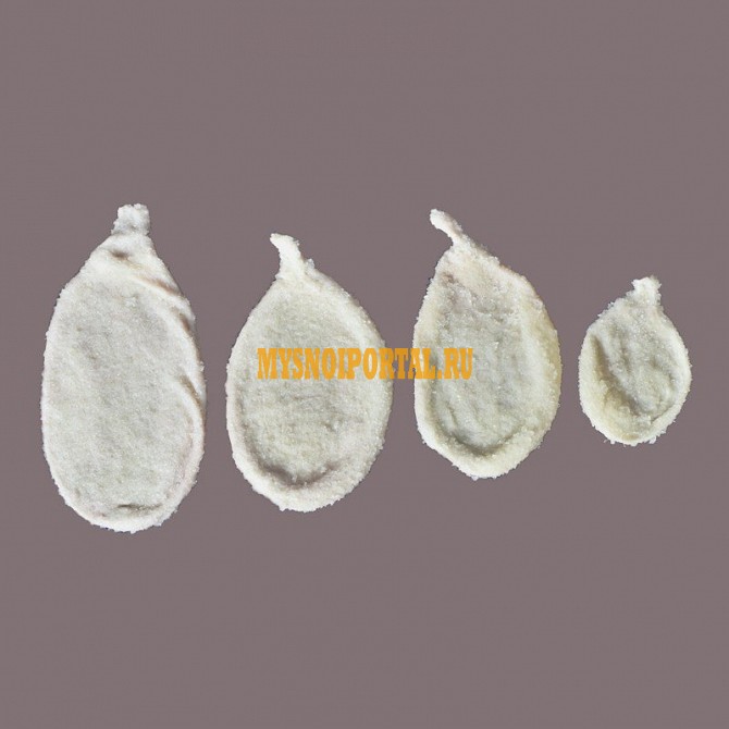 Черева свиные, пузыри свиные, черева бараньи, синюга баранья, черева говяжьи, синюга говяжья Великий Новгород - изображение 1