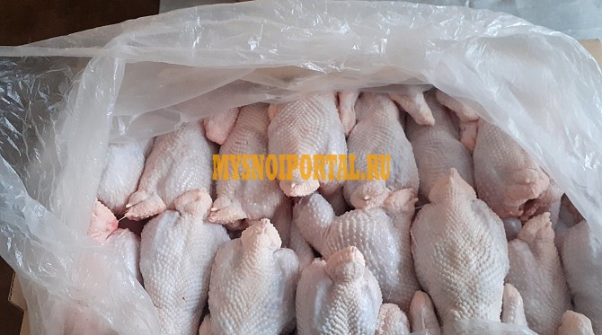 Тушки кур несушек Оренбург - изображение 1