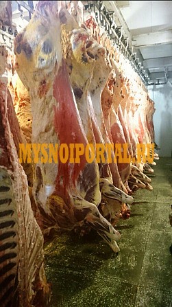 Продаю Полутуши Говяжьи ГОСТ, Охл/Зам, в Москве Москва - изображение 1