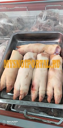 Ноги свиные передние обработанные Курск - изображение 1