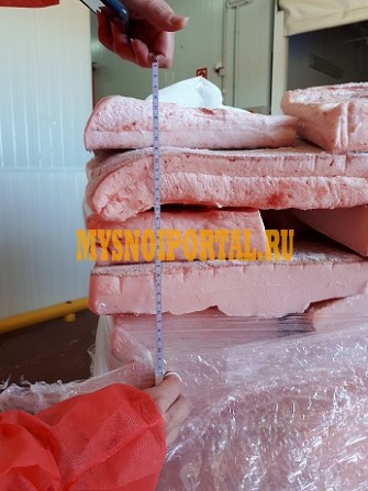 Шпик Иберийский 3+ и 4+ см Испания Москва - изображение 1