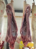 Продаю Полутуши Свиные Сорочинский МК, Охл/Зам, категория - II (мясная – молодняк) в Сорочинске  доставка из г.Сорочинск