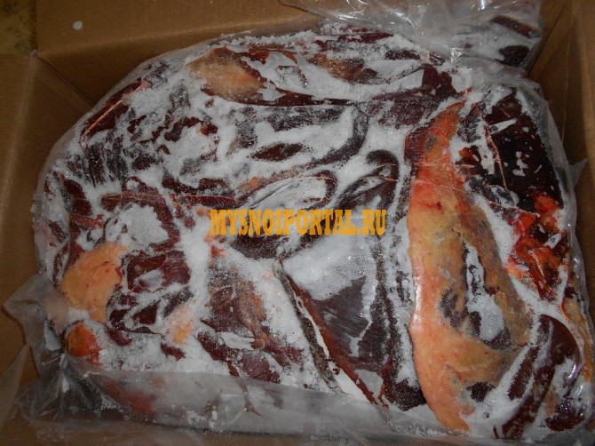 Продажа: Передняя часть конины ГОСТ, б/к, зам, в Санкт-Петербурге Санкт-Петербург - изображение 1