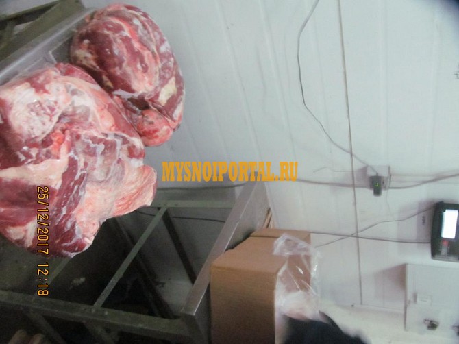 Продаю Лопатка говяжья Парагвай, ГОСТ, б/к, зам, Консенпсион, в Санкт-Петербурге Санкт-Петербург - изображение 1