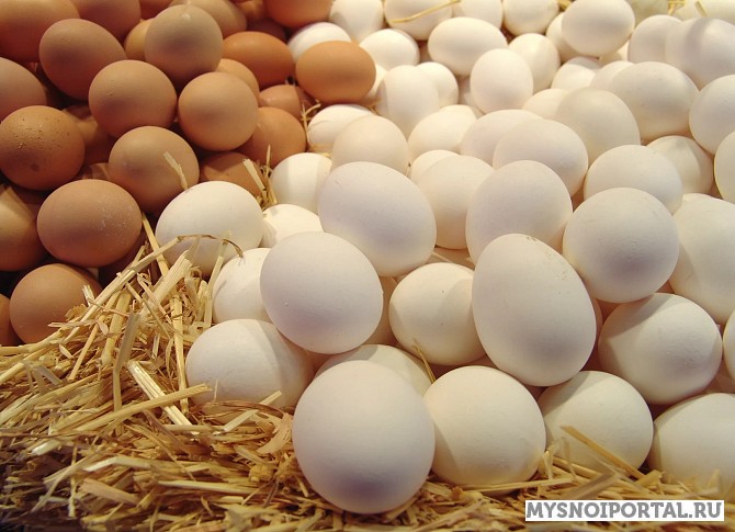 Продаем яйцо куриное Лениногорск - изображение 1