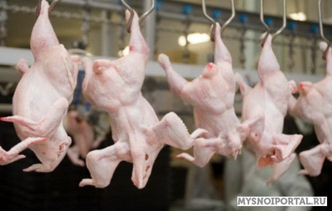 Надуксусная кислота АВК-НУК Дзержинск - изображение 1