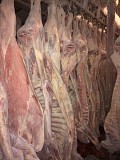 Продаю Полутуши Говяжьи коров, бычков, телят ПРОИЗВОДИТЕЛЬ ГОВЯДИНЫ,  ГОСТ, ТУ,  зам, в Барнауле  доставка из г.Барнаул
