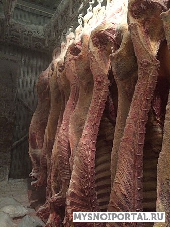 Продаю Полутуши Говяжьи коров, бычков, телят ПРОИЗВОДИТЕЛЬ ГОВЯДИНЫ, ГОСТ, ТУ, зам, в Барнауле Барнаул - изображение 1