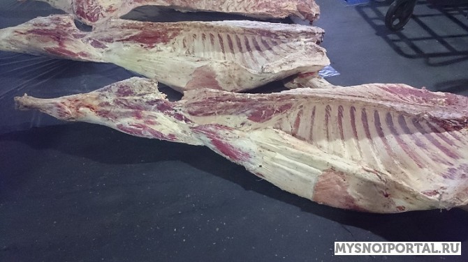 Говядина коровы Белоруссия. Москва - изображение 1