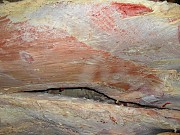 Говядина коровы Молдавия 95+. Москва