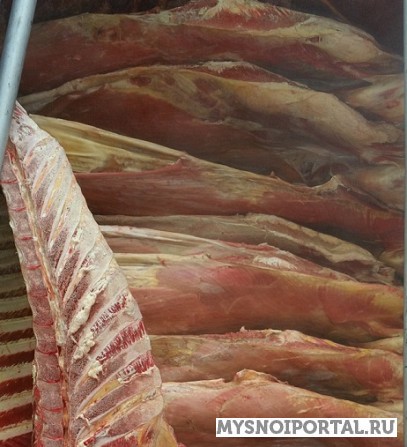 Говядина коровы Молдавия 95+. Москва - изображение 1