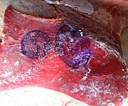 Говядина Бык 100+ Молдавия. Москва