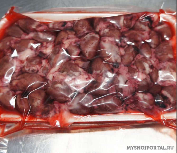 Сердечки кролика Ставрополь - изображение 1