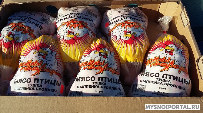 Тушка цыплёнка-бройлера, 1,2 с Витебск - изображение 1