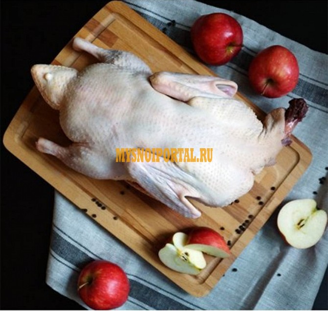 Тушка утки ТУ, в Санкт-Петербурге Санкт-Петербург - изображение 1