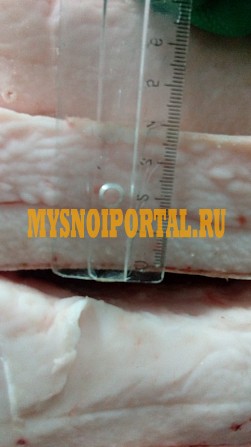 Сало свиное иберийское 4+ Москва - изображение 1