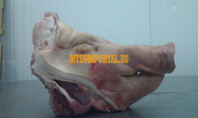 Головы ограбленные(без языка, без ушей, без щеки) в наличии Белгород - изображение 1