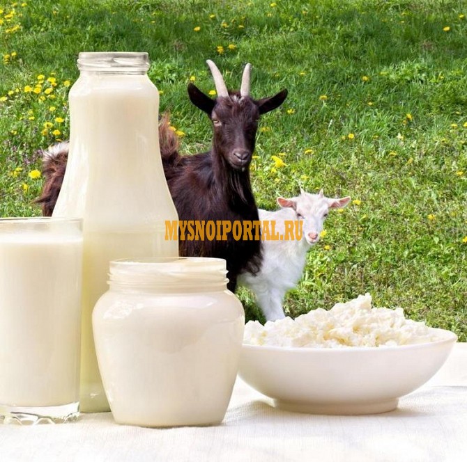 Творог и сыворотка из козьего молока Санкт-Петербург - изображение 1