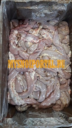 Кишка тонкая говяжья промытая Киров - изображение 1