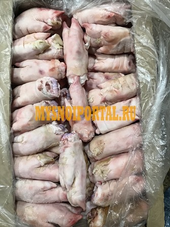 Ноги свиные Красноярск - изображение 1