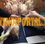 Печень цыплят-бройлеров зам/охл Минск - изображение 1