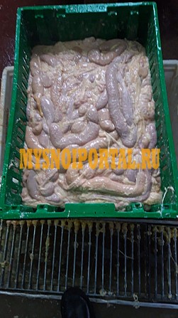 Кишечник свиной тонкий очищеный Владимир - изображение 1