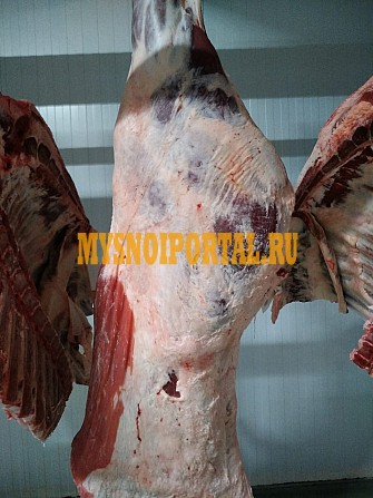 Продаю Полутуши Говяжьи ГОСТ, н/к, охл, в Москве Москва - изображение 1