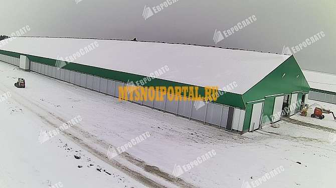 Технология строительства коровников Грязи - изображение 1