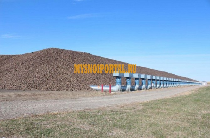 Сахарные кагаты Грязи - изображение 1