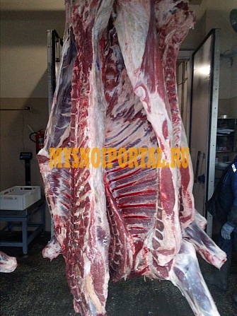 Мясо п/т Владимир - изображение 1