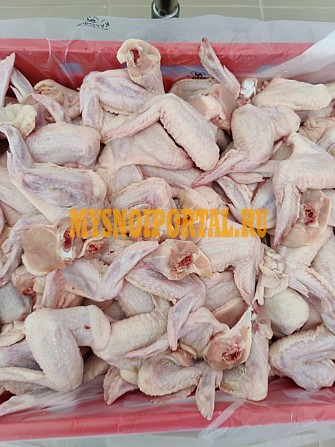 Крыло куриное - 3 фаланги крыла, от "Курофф", в Ярославле Ярославль - изображение 1