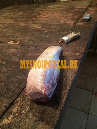 Язык говяжий Нальчик - изображение 1