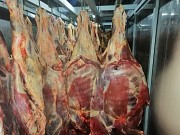 Продаю Полутуши Говяжьи РФ, ГОСТ, н/к,  зам,в Москве  Москва