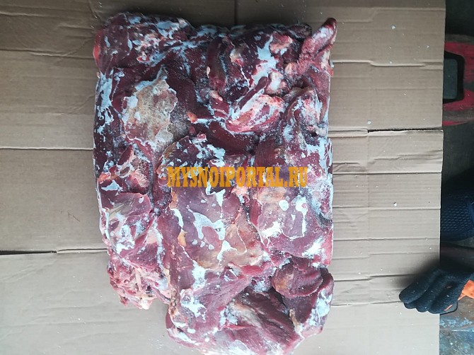 Продаю Односортная говядина РФ, ГОСТ, б/к, зам, в Москве Москва - изображение 1