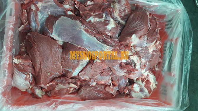 Реализует говядину бык односорт зам Москва - изображение 1