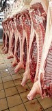  Куплю Полутуши Свиные н/к Охл/Зам, категория - I (беконная), II (мясная – молодняк) в Москве  Москва