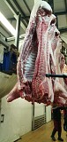  Куплю Полутуши Свиные н/к Охл/Зам, категория - I (беконная), II (мясная – молодняк) в Москве  Москва