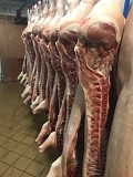Продаю Полутуши Свиные н/к, охл, категория - I (беконная), II (мясная – молодняк) в Москве  доставка из г.Москва