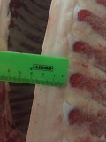 Продаю Полутуши Свиные н/к, охл, категория - I (беконная), II (мясная – молодняк) в Москве  доставка из г.Москва